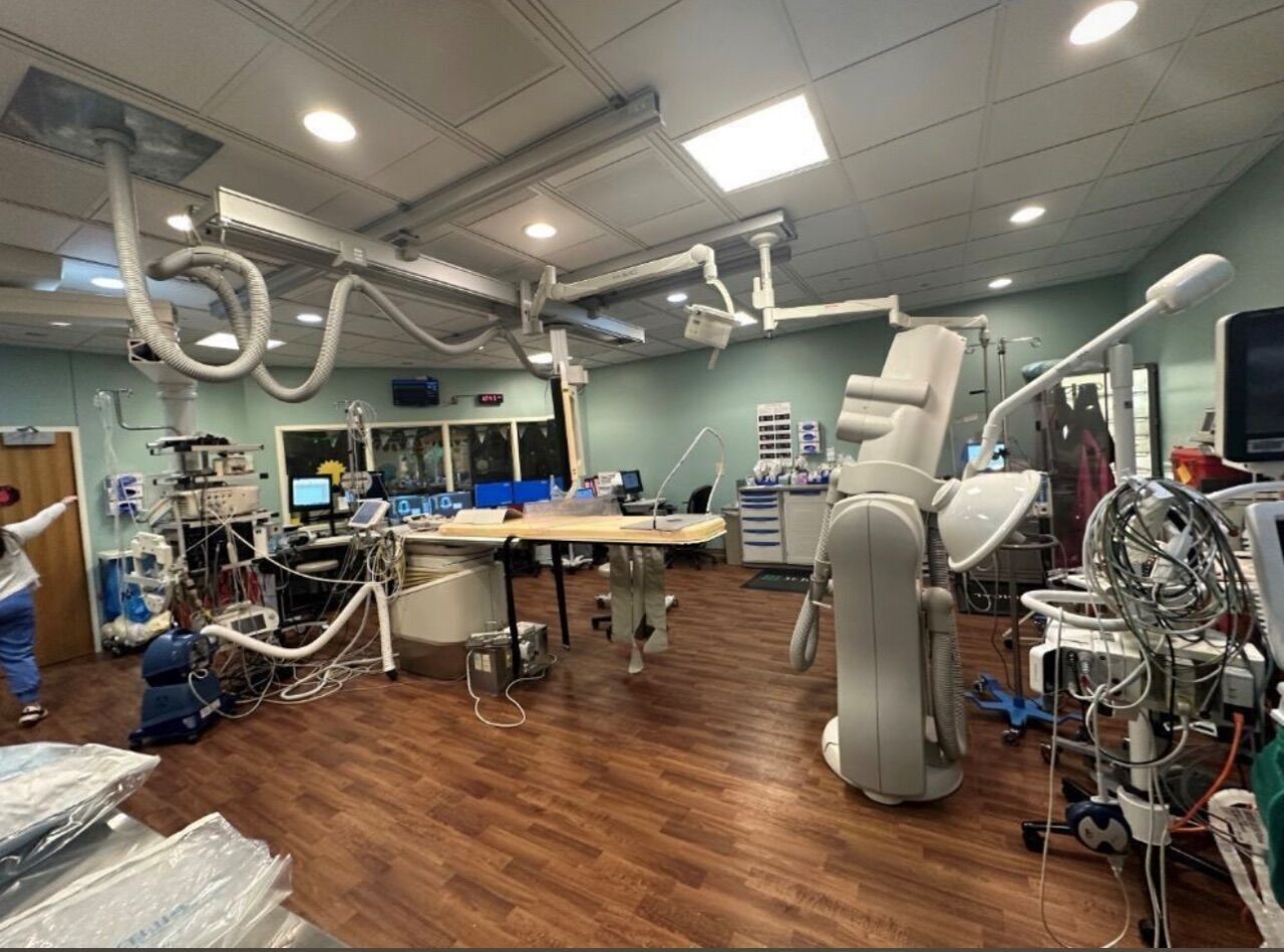 Flexvision Large Monitor System