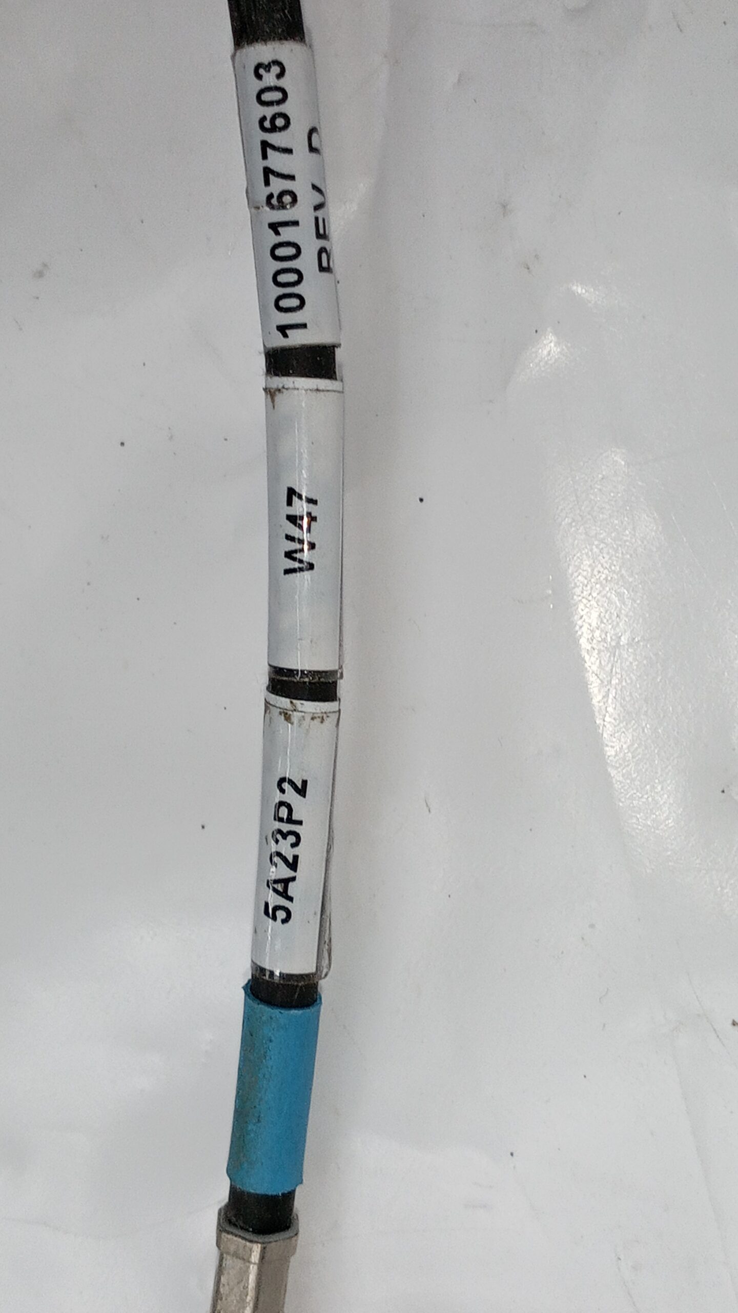 IMG 20260205 110935 574 scaled